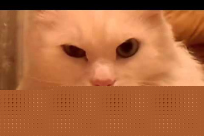 Уничтожающий взгляд 