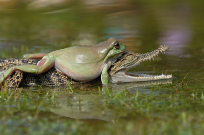 Наглости не занимать 
