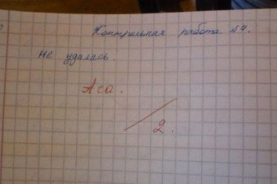 Замечания в школьных тетрадях