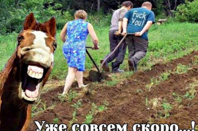 Уже совсем скоро на всех дачах страны