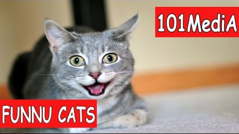 Вам понравится !