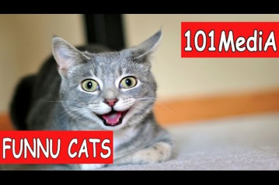 Вам понравится !