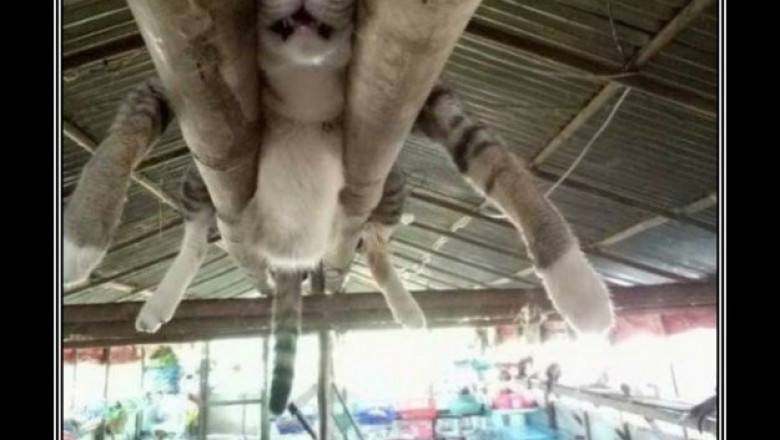 Самое удачное место для отдыха