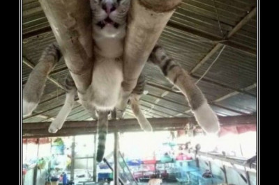 Самое удачное место для отдыха