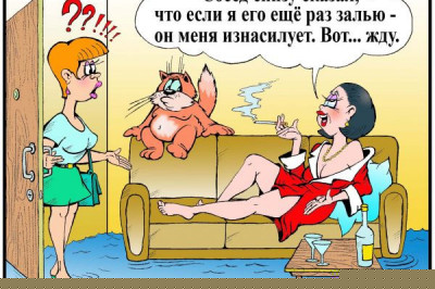 Большая подборка карикатур 