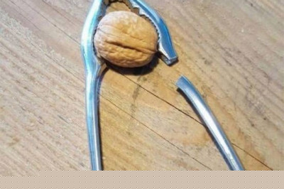 Крепкий орешек