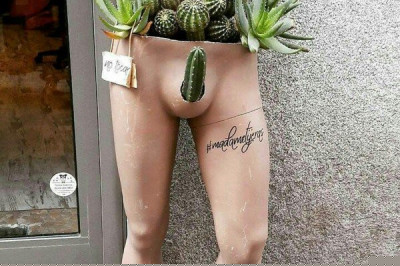 Настроение в мажоре 