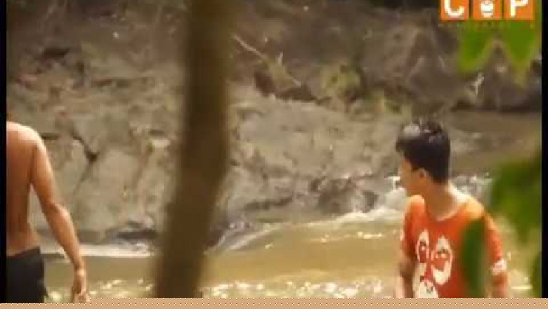 Спасение орангутана из водопада 