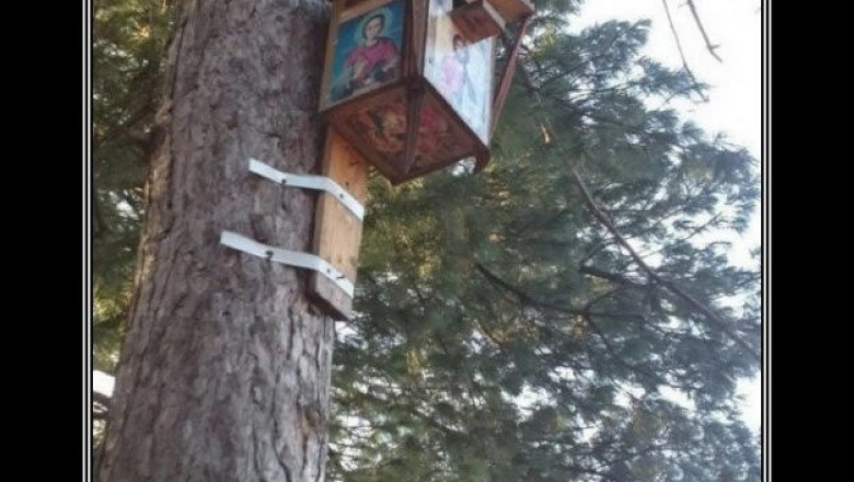 Для скрепных и духовных птиц