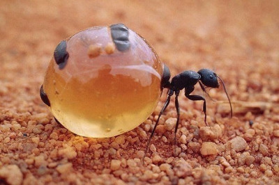 Когда выпил 3 литра пива