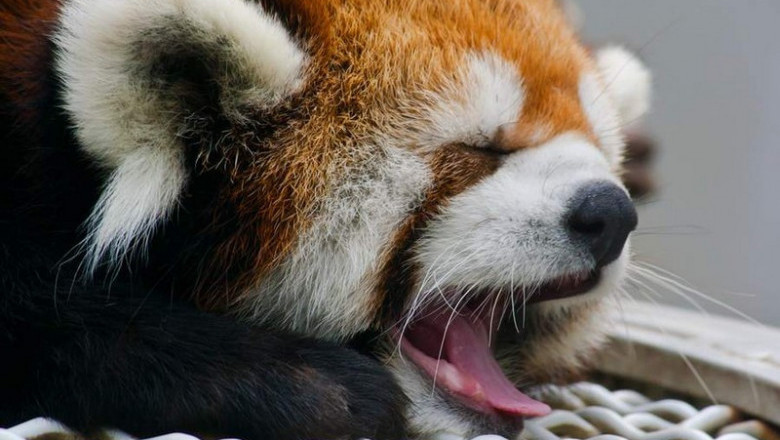 Нескучного настроения !