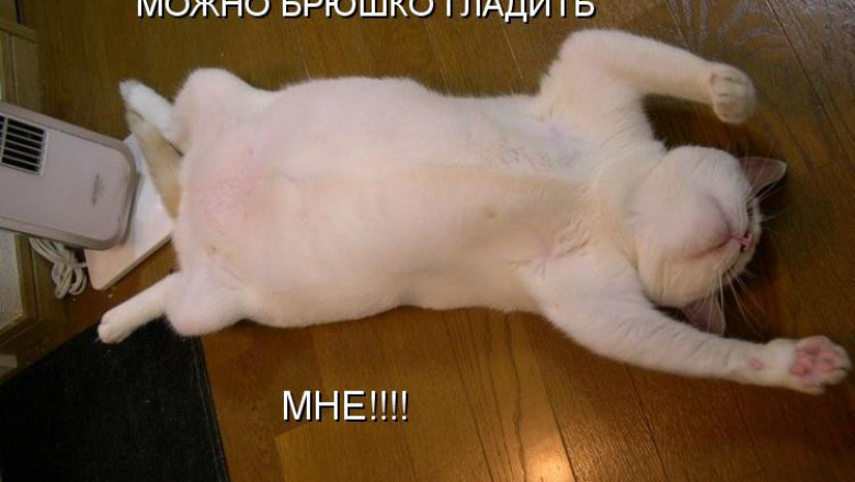 После вкусного обеда