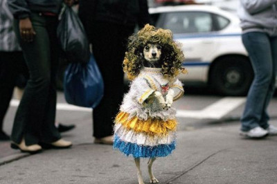 Предвыходное настроение !