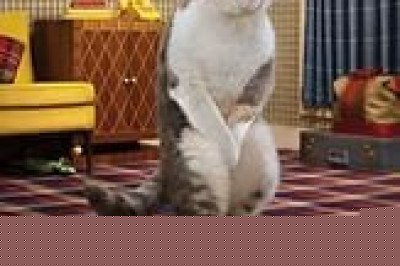 Случай в автобусе