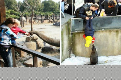 Воспитание ребенка глазами мам и пап