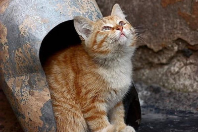 Размышлялки вслух 