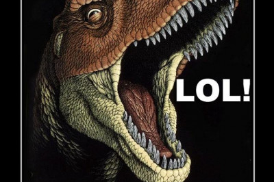 С рептилиями не соскучишься