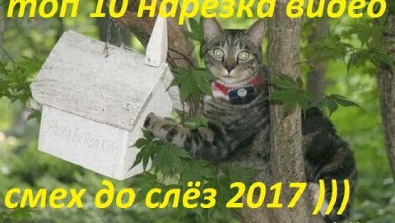 Смешнее трудно найти 