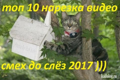 Смешнее трудно найти 