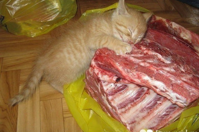 А жизнь-то по немногу налаживается