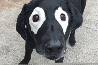 Шутки природы 