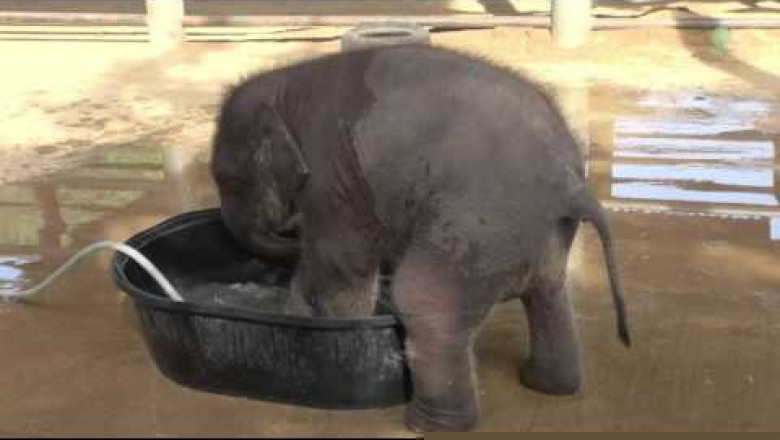 Строгая мама 