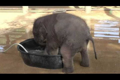 Строгая мама 