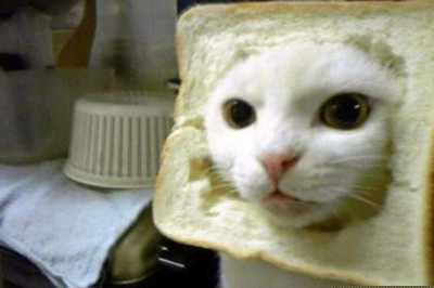 Только рулит  !