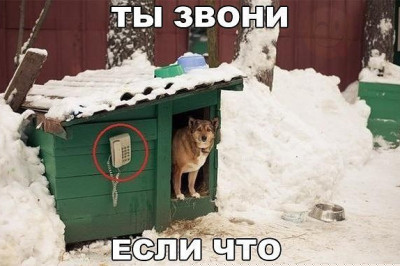 Ты звони если что