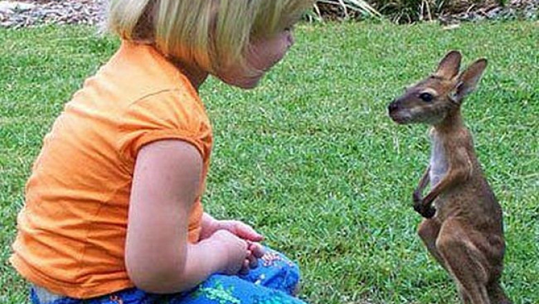 Дети и животные 