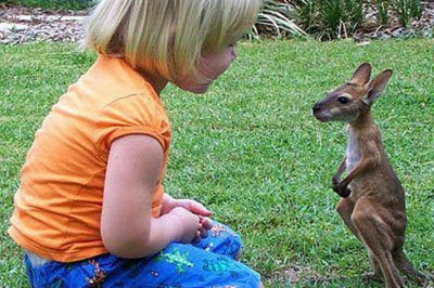 Дети и животные 