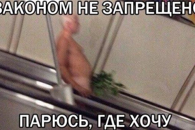 Банный день на носу