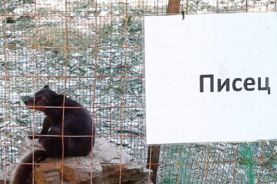 Для Первоапрельского настроения !