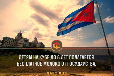 Познавательное в картинках 