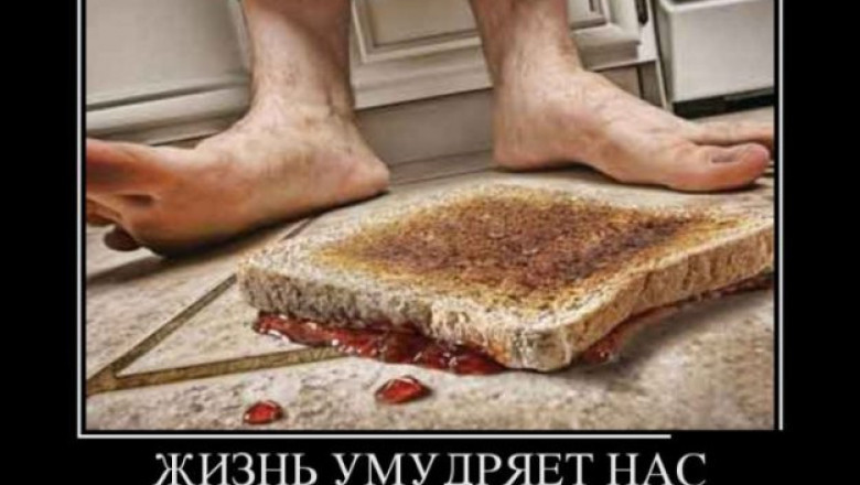 Бутерброды падают маслом вниз