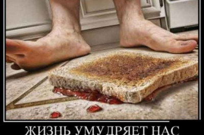 Бутерброды падают маслом вниз