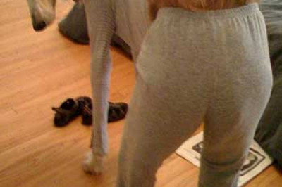 Не только друг, но даже и прототип