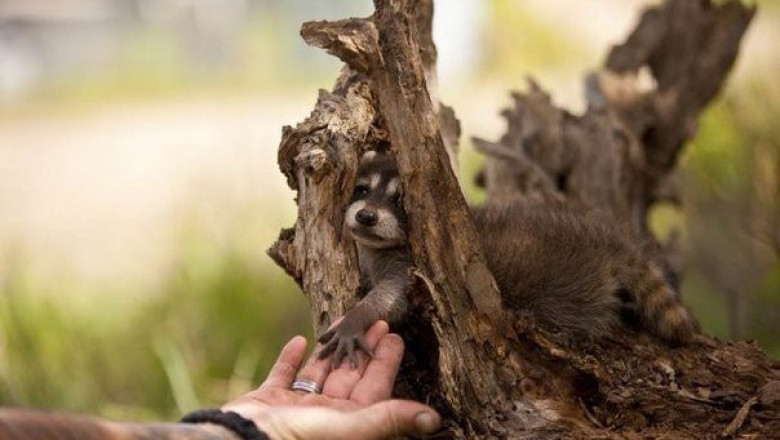 Немного доброты 