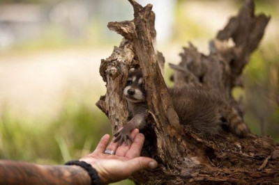 Немного доброты 