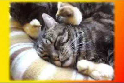 Создай себе позитивное  настроение !