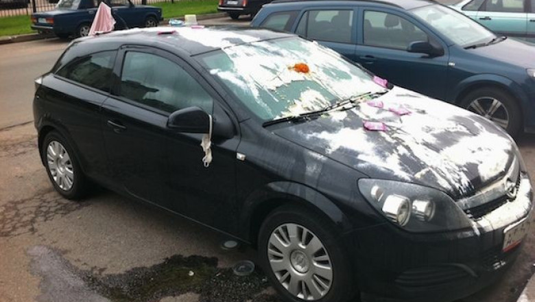 Страшная месть !