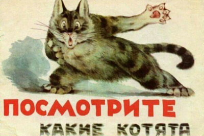 Котики как наше отражение 