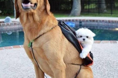 Фотонатюрморт для настроения 