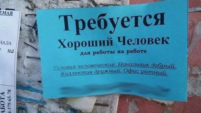 Не работа, а мечта