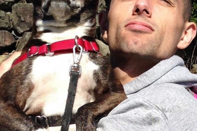 Забавное зверьё 