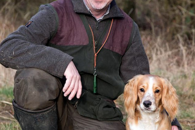 Бегущие собаки 