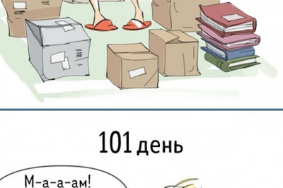 Комиксы о том , как меняется наше отношение за какие-то 100 дней 