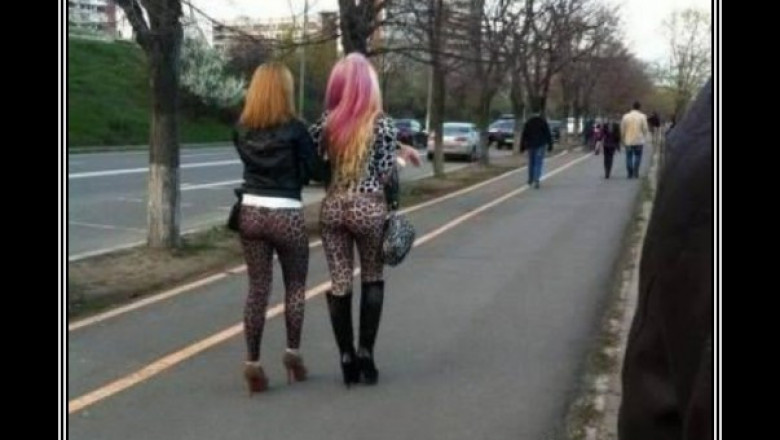 Хищницы вышли на охоту