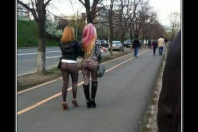 Хищницы вышли на охоту