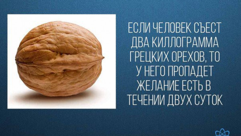 Кое - какие  факты 